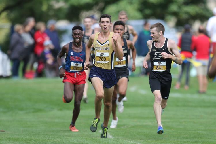 Former Sandburg runner sets the pace in two events for Notre Dame