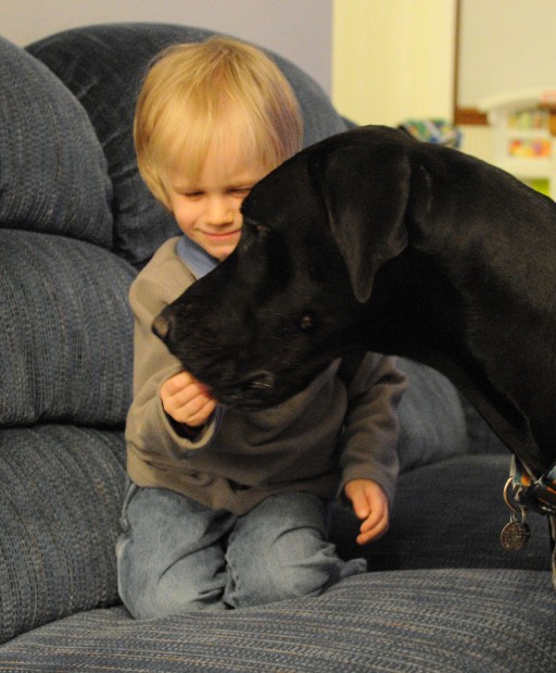 A boy, his dog and a big heart