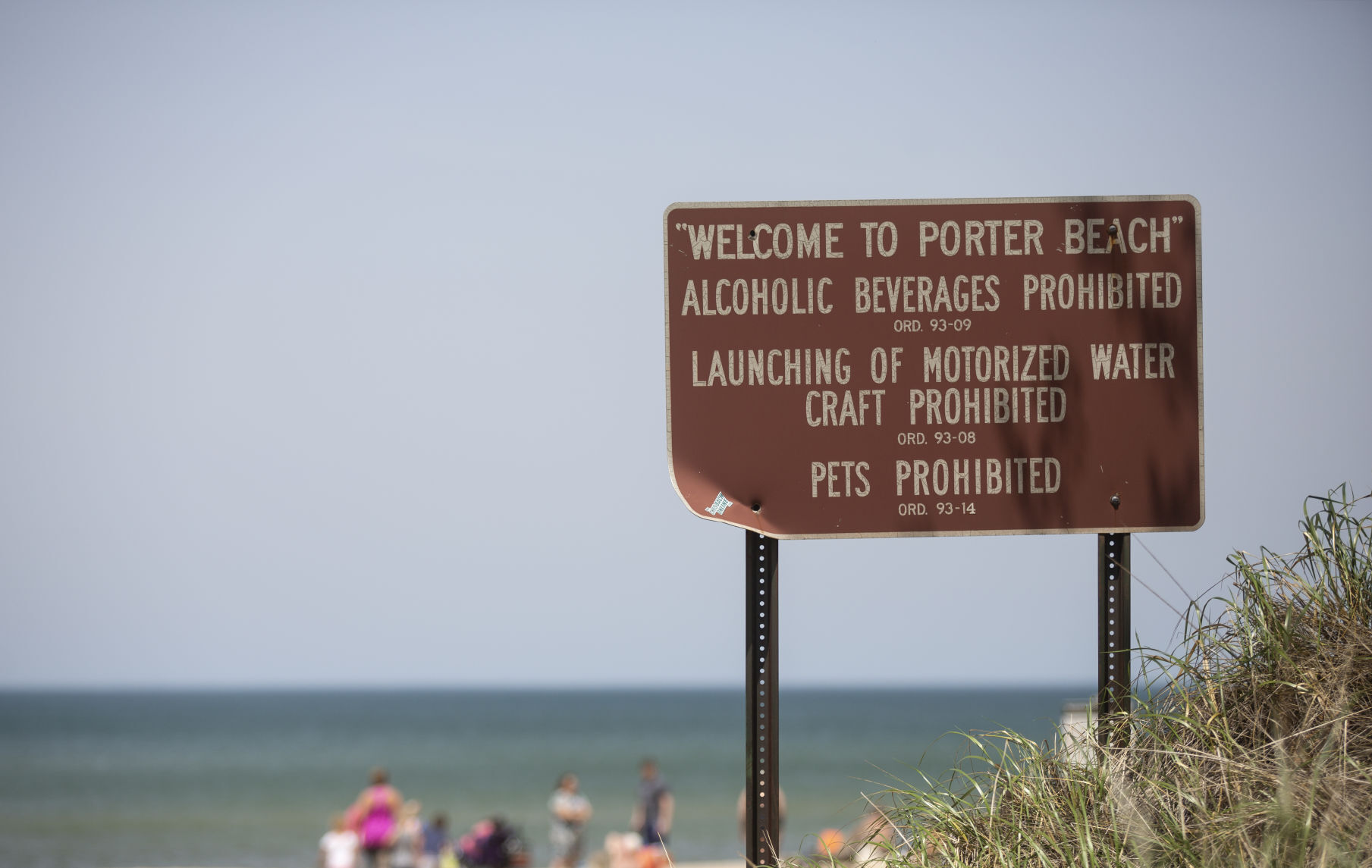 No imminent threats to public after reported sex assault near Porter Beach, park says image