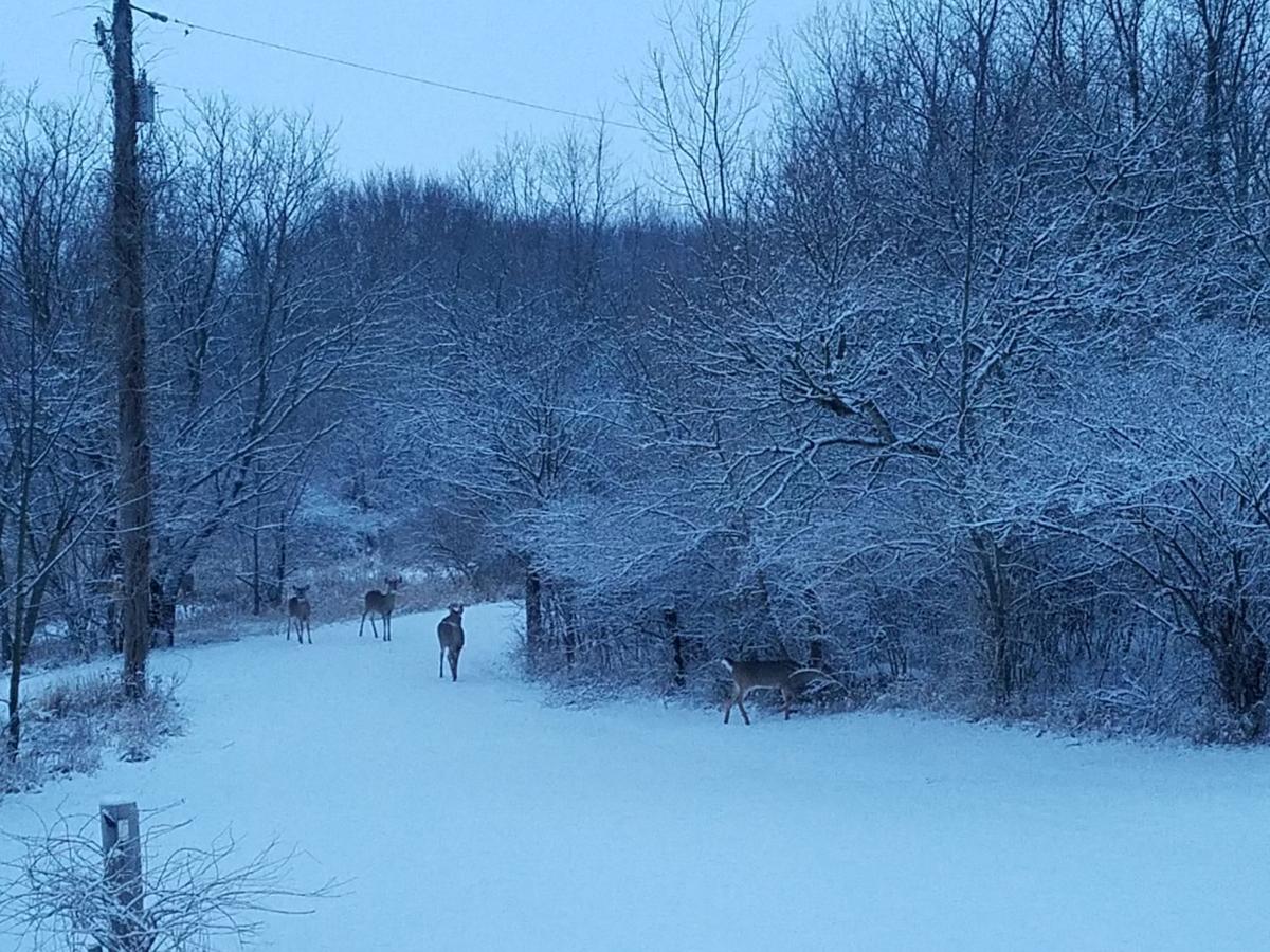 Snow 2018