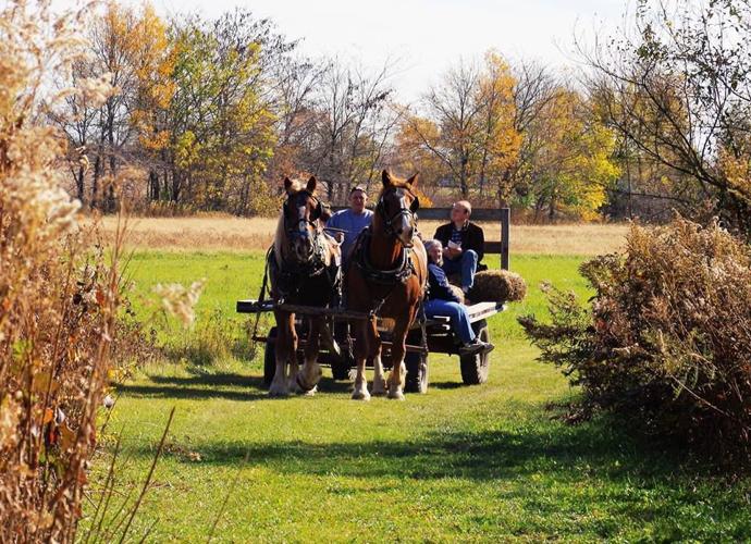 Buckley Homestead keeps traditions, culture of NWI alive