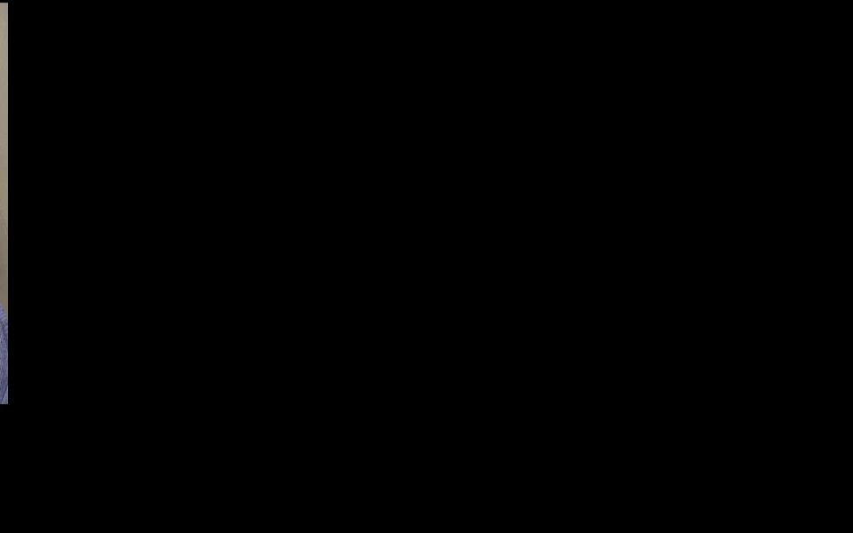 Asset-image