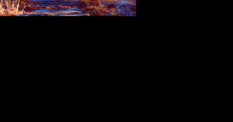Dunes art exhibit coming to PoCo Muse - Vimarsana News