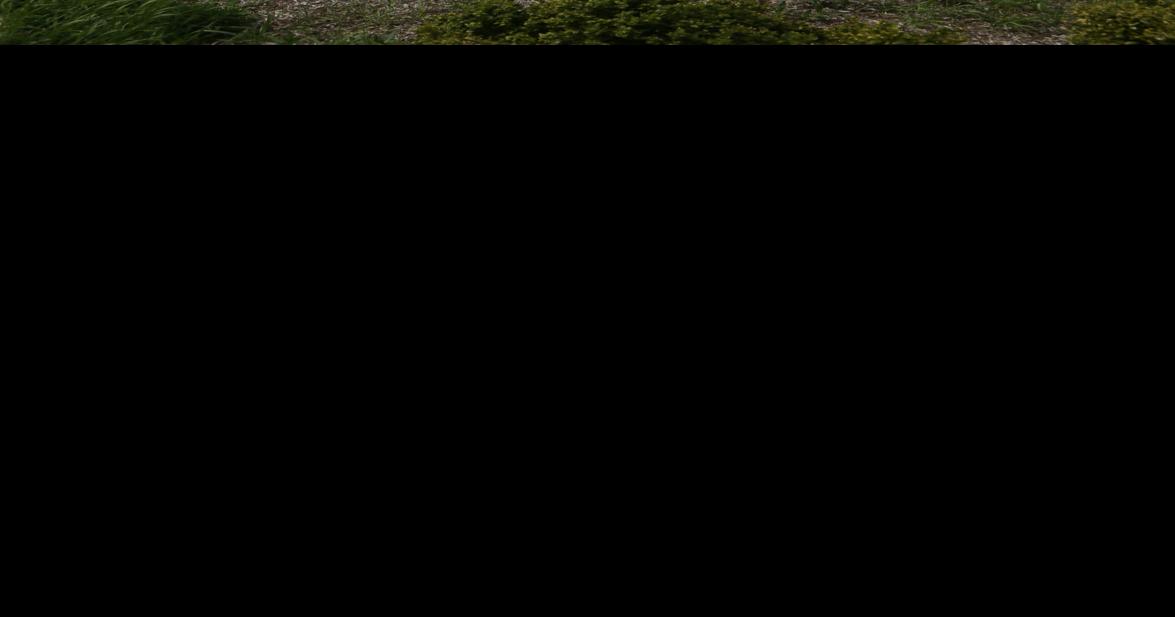 Merrillvillebased DirectBuy adding 80 jobs this year