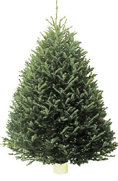 Traditional or trendy, fresh flowers make the festivities sing