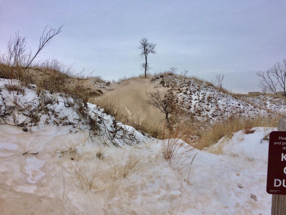Snow 2018