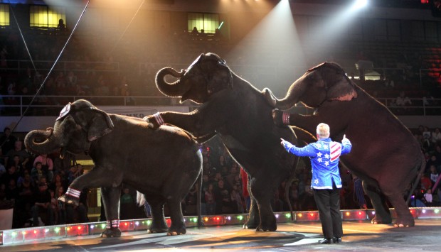 Orak Shrine Circus wows in Hammond