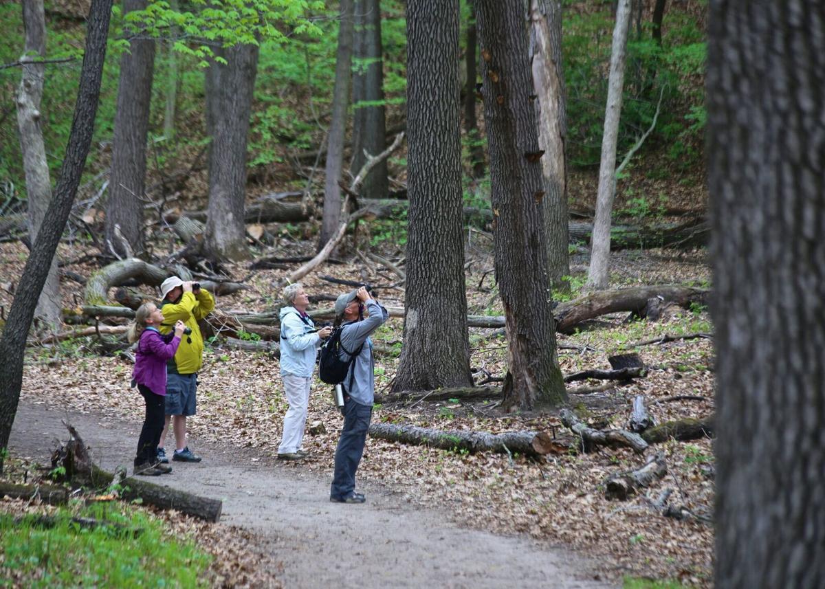 Birding Festival fies back to Indiana Dunes National Lakeshore with 'The Big Year' birder