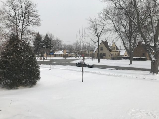 Snow 2018