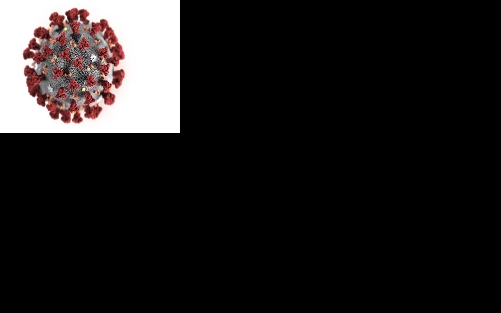 Asset-image