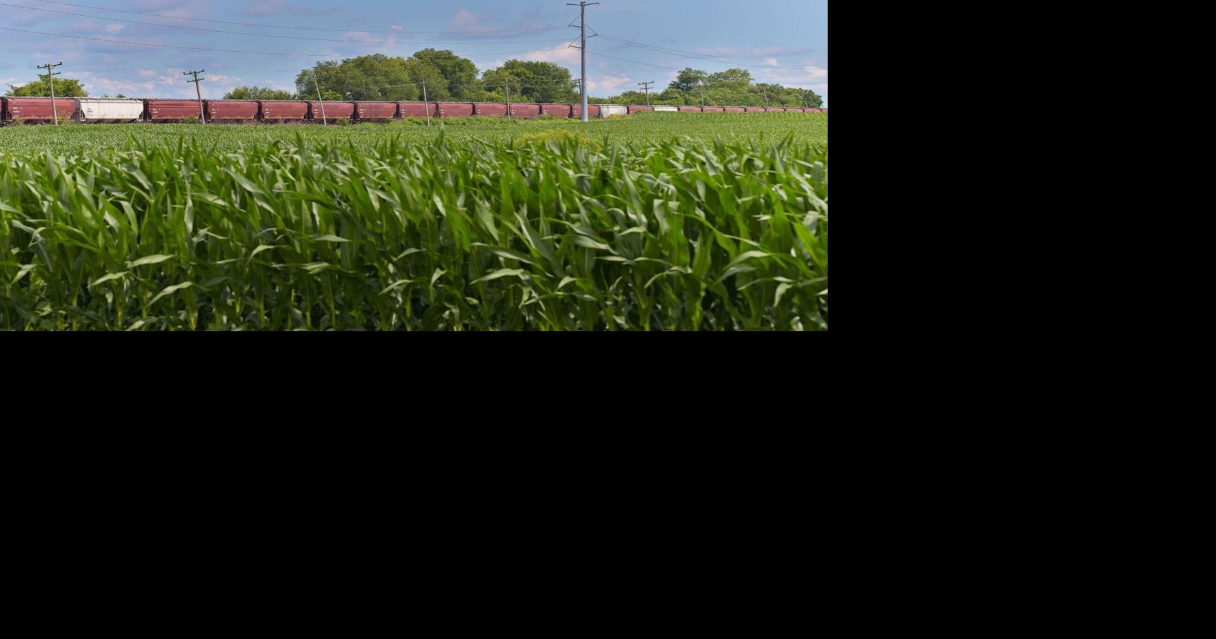 ANALYSIS US rail fuel surcharges on grain hit record highs, squeezing farmers in harvest season