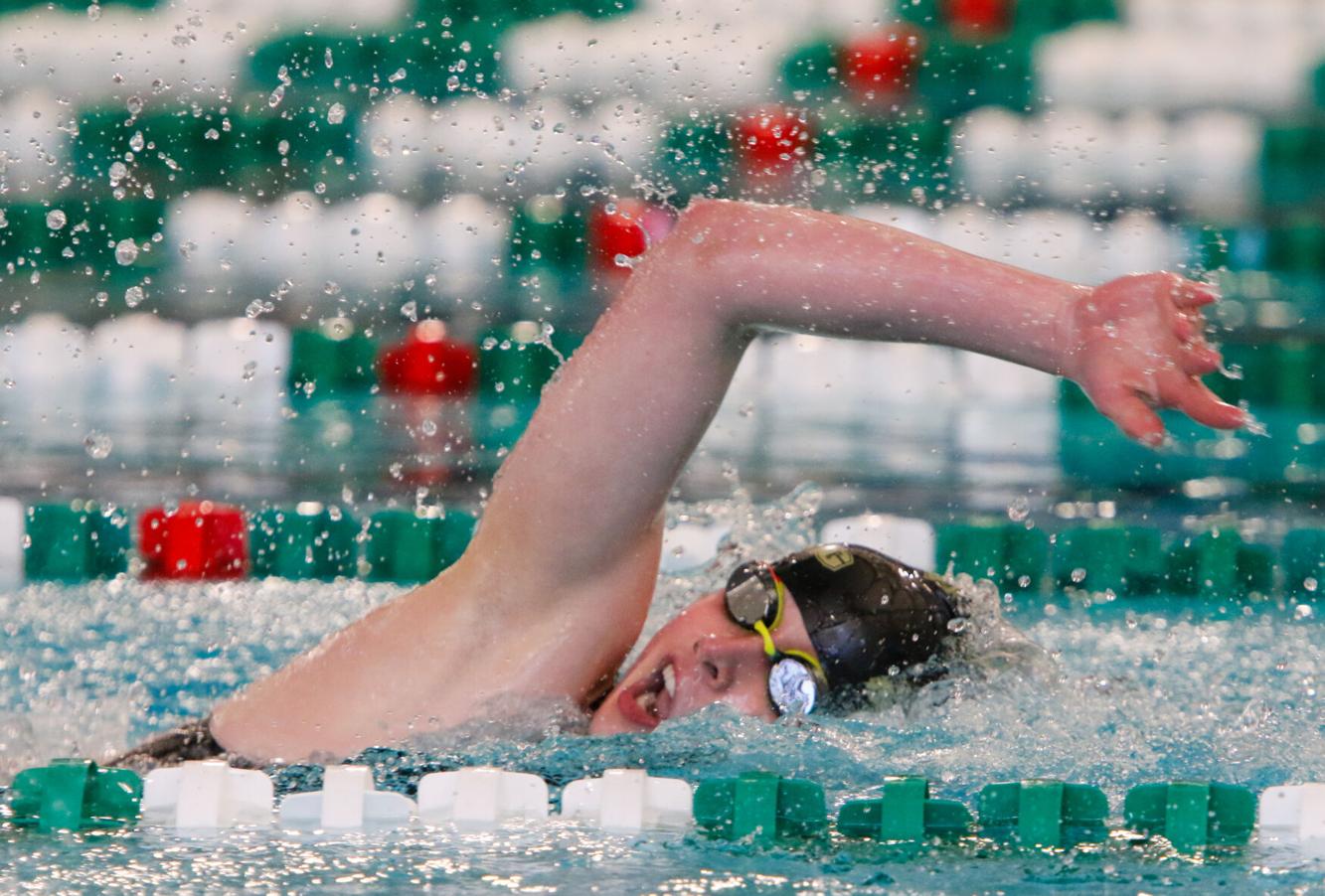 Chesterton swimmer Alana Jardenil aims to go out in style NWI Preps