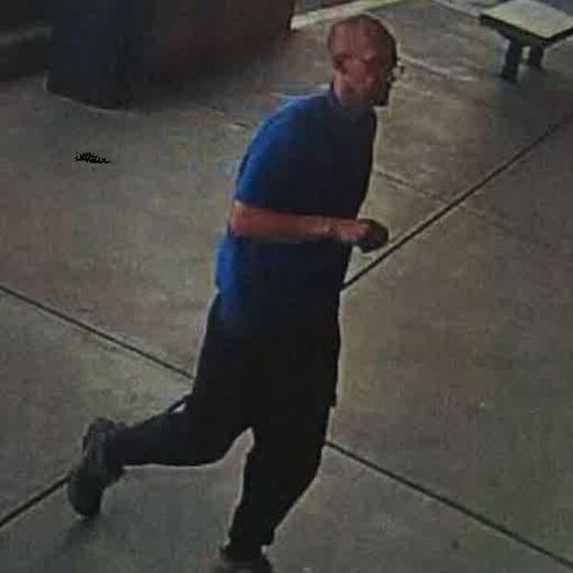 Police release photo of person sought in wake of theft - Vimarsana News
