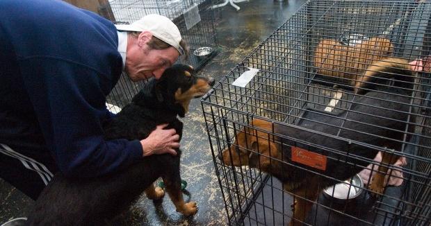 Commissioners to consider hiring new Porter County Animal ...