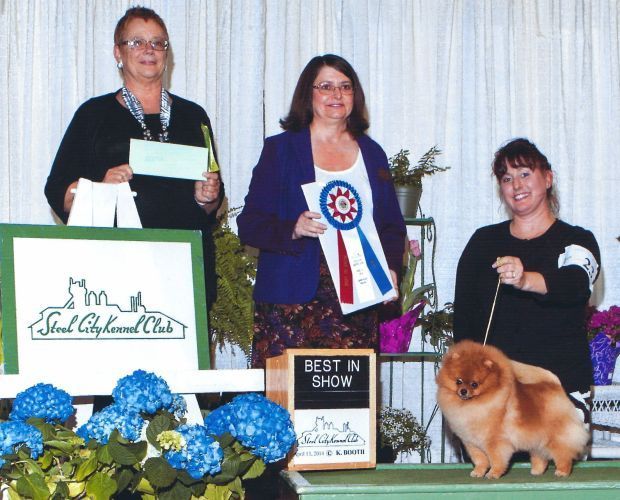 Steel City Kennel Club hosts dog shows this weekend