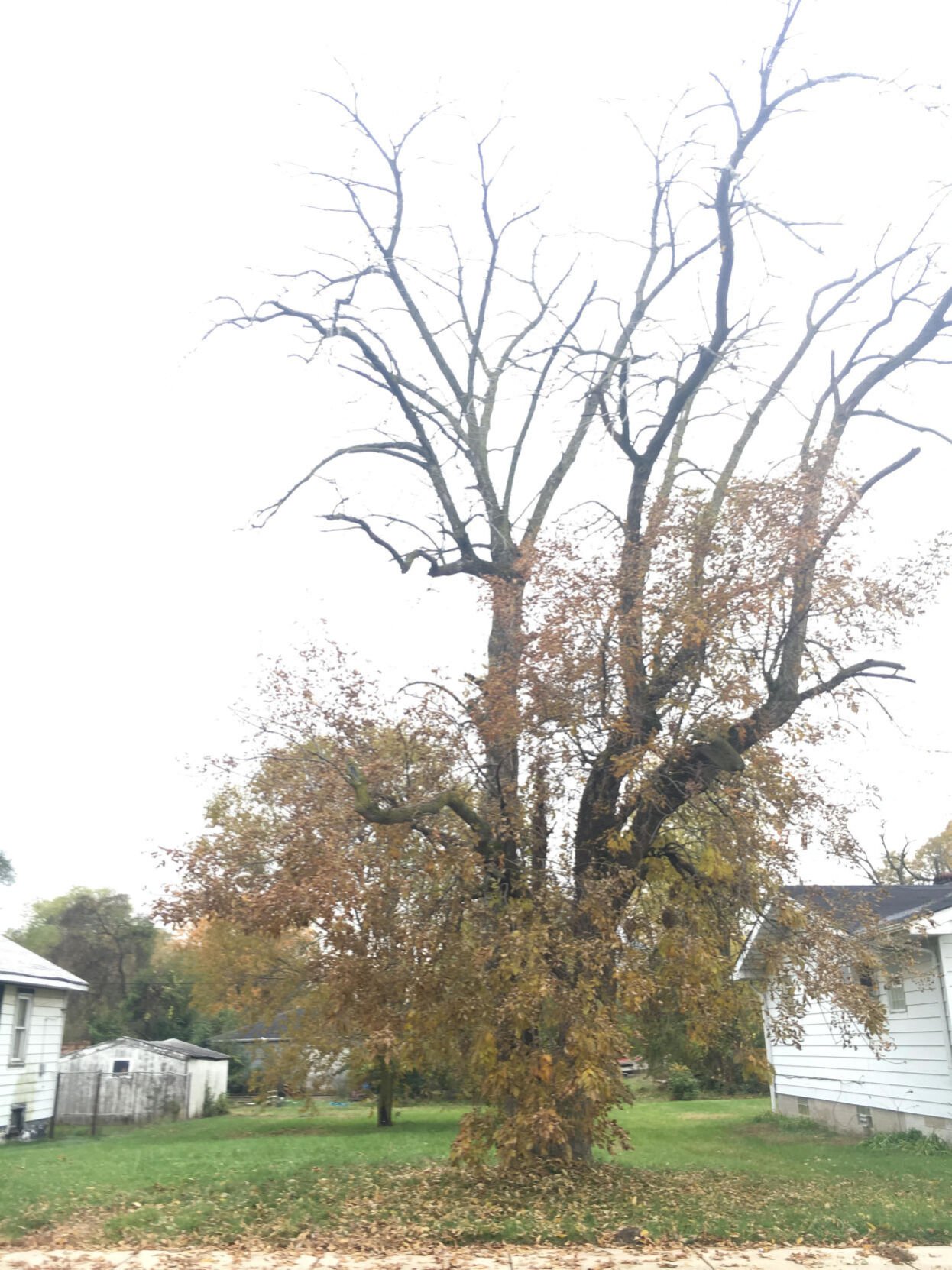 Zak bagans burns 2025 down demon house