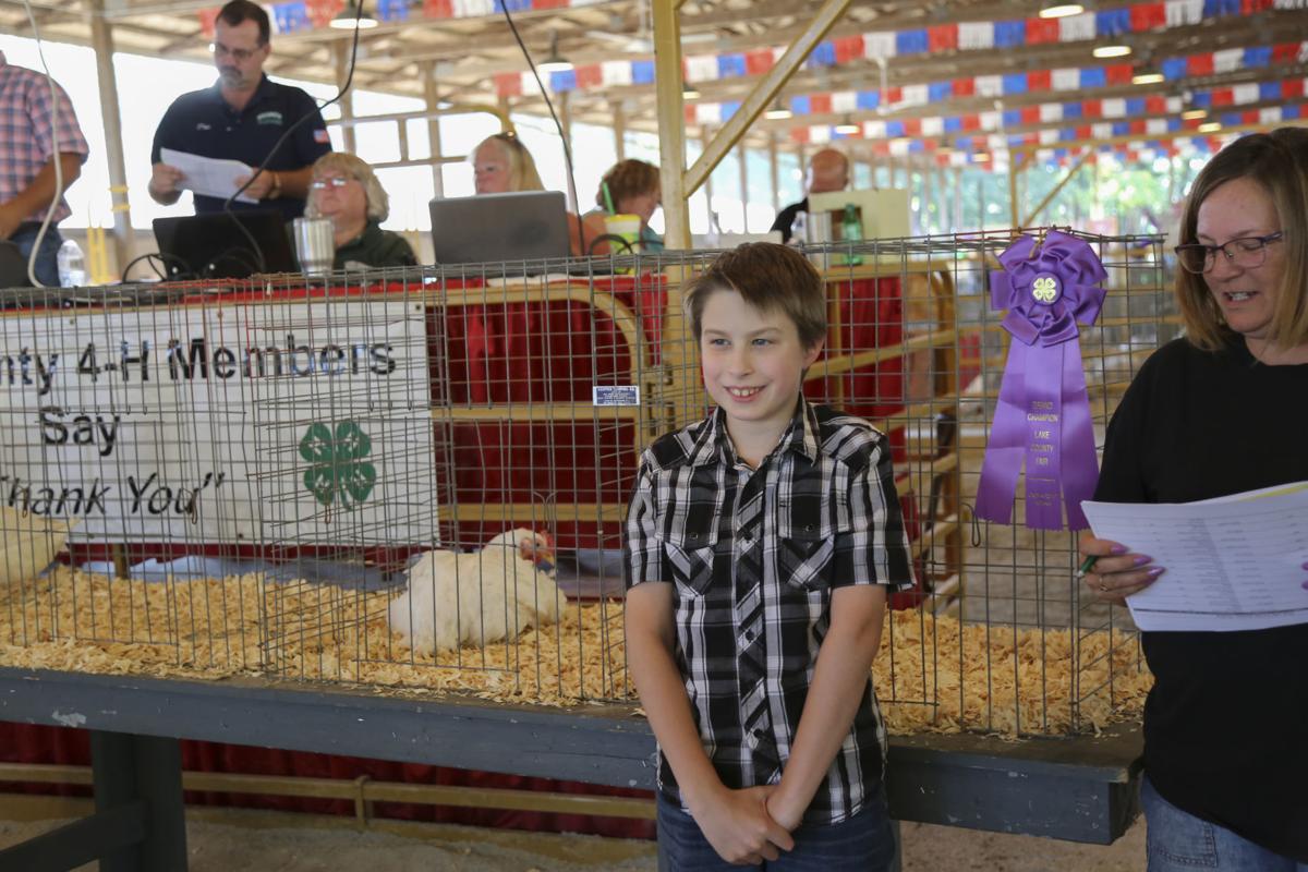 4H'ers showcase their animals, hard work during Lake County Fair's