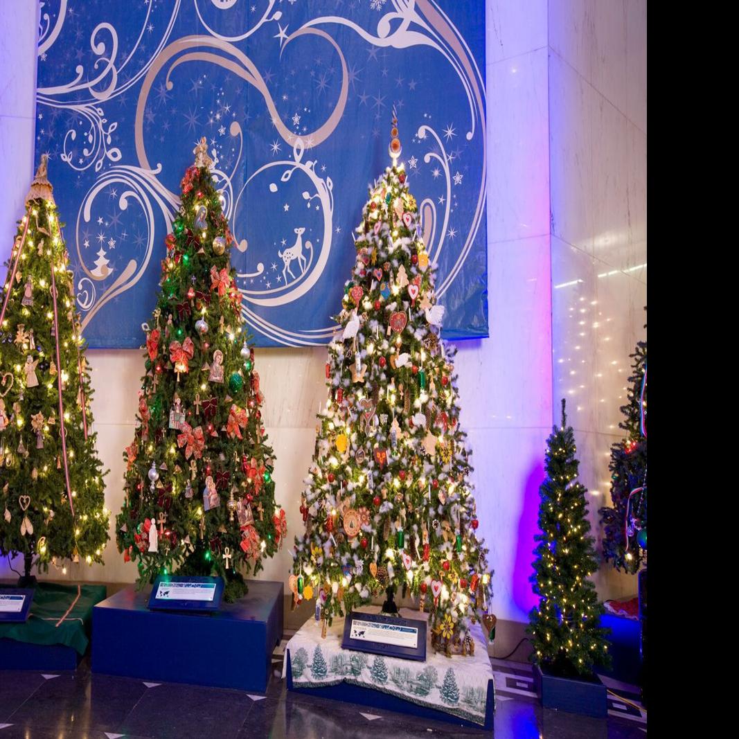 Taking In The Trees Decorated Trees Represent Different Cultures