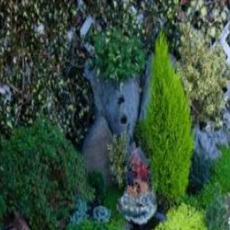 A Little Garden Magic Gardeners Embrace Miniature Plants As Fairy Gardens Grow In Popularity Home Garden Nwitimes Com