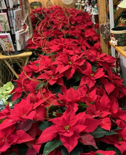 Florists start with the green and add the feelings to create holiday magic