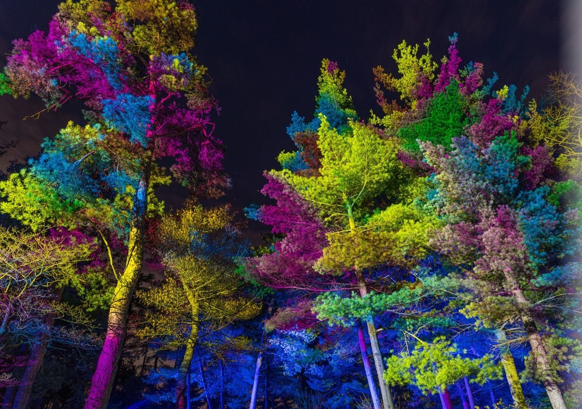 Morton arboretum on sale christmas lights