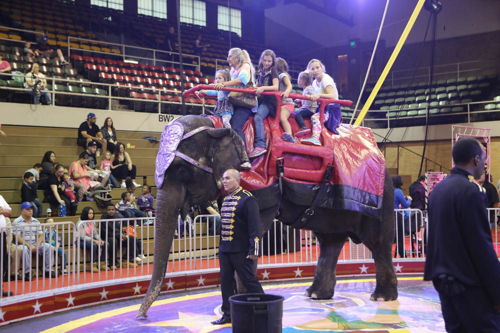 Orak Shrine Circus brings excitement, daring acts to Hammond Local