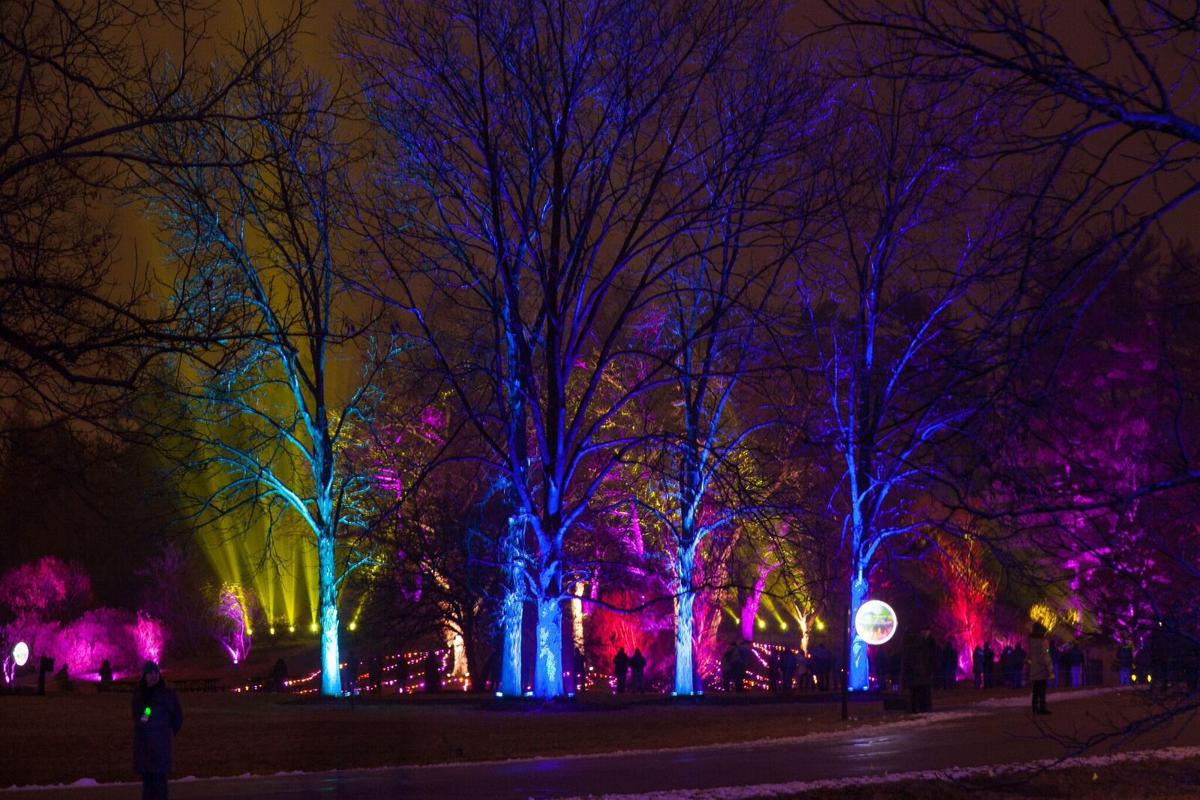 Lighting up the night: Morton Arboretum presents annual ...
