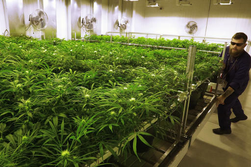 Bill seeks warning labels on Illinois medical pot products