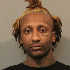 Man pleads guilty to hitting 2 police cars during pursuit - Vimarsana News