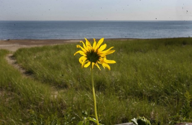 Report: Environment improving, but needs planning with a broader scope