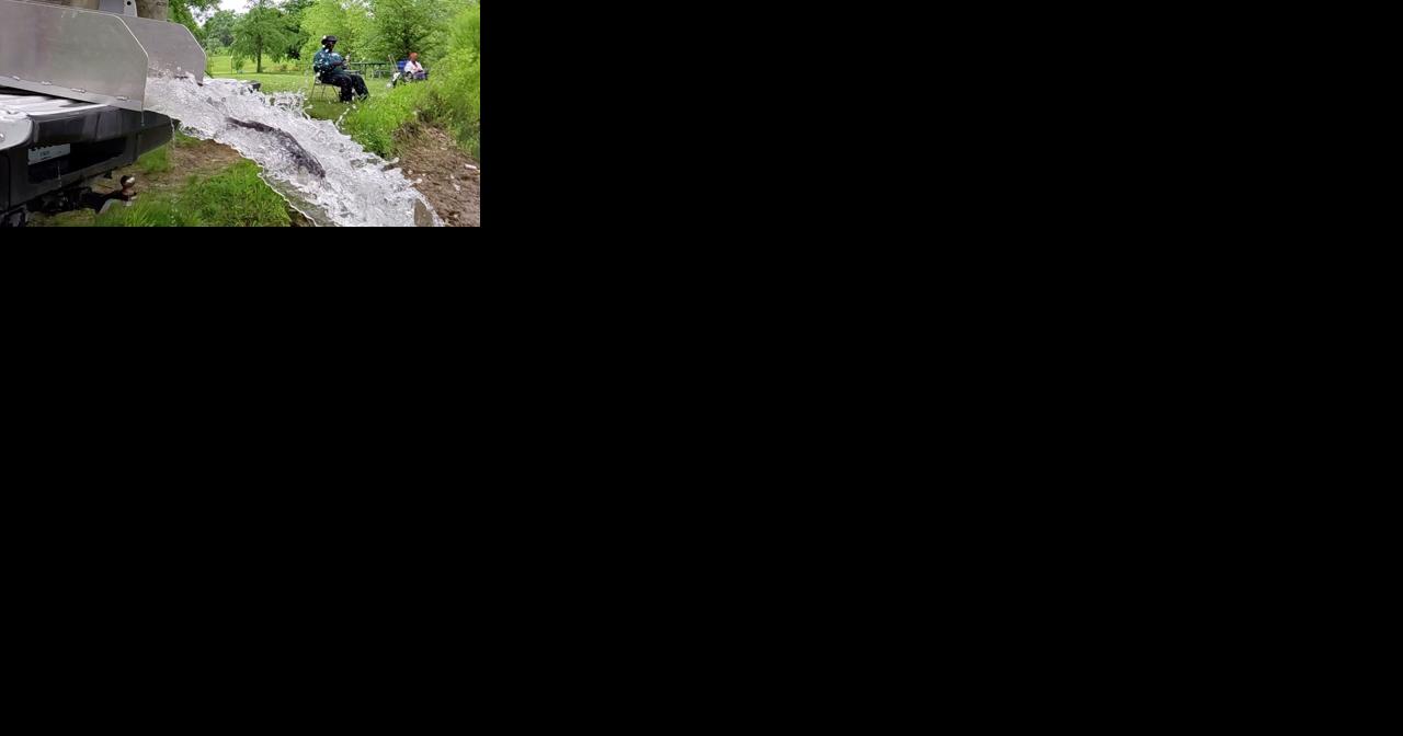 Urban anglers: DNR stocks Region lake with catfish - Vimarsana News