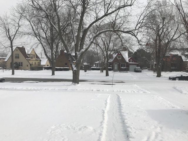 Snow 2018