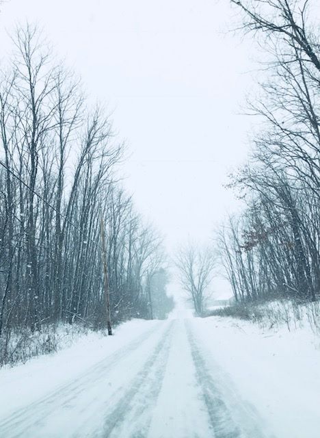 Snow 2018
