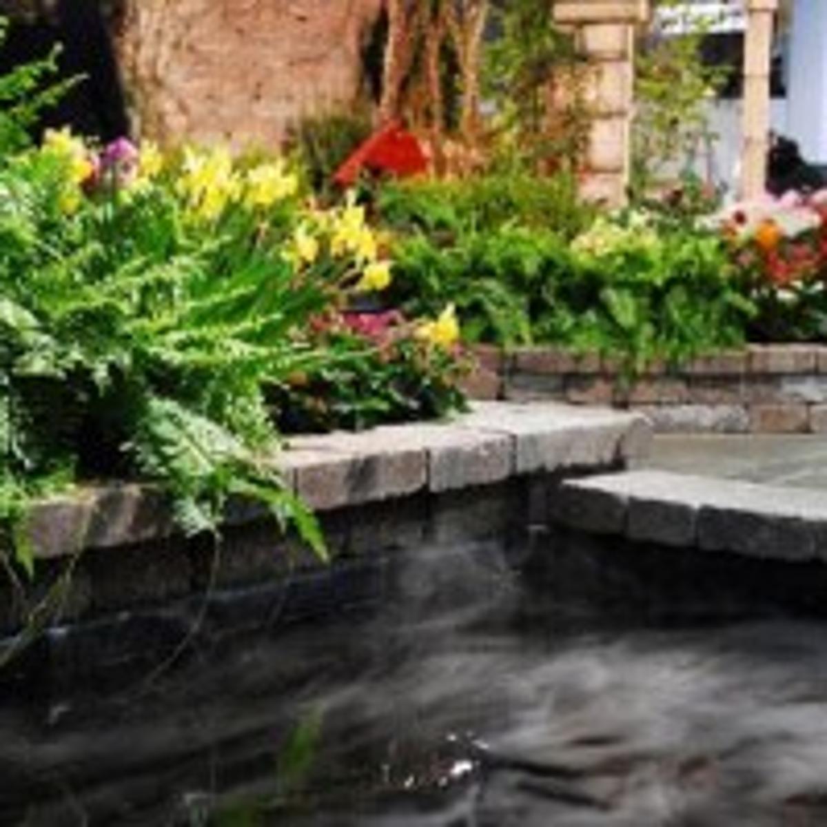 Chicago Flower Garden Show Blossoms Anew At Navy Pier Health