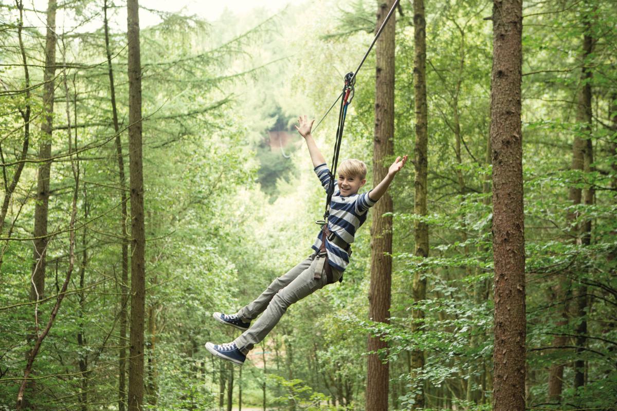 Go Ape Gives A Different Perspective Lifestyles Nwitimes Com Go Ape Gives A Different Perspective Lifestyles Nwitimes Com
