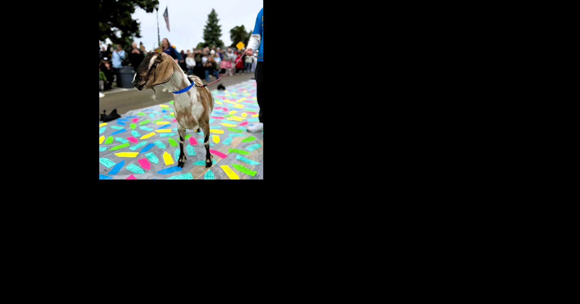 TRAVEL: Door County’s goat parade ushers in summer traditions in Wisconsin