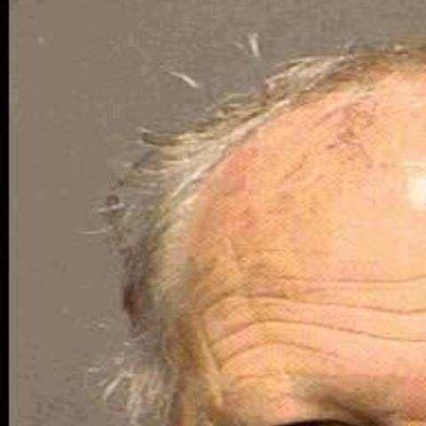 Man Charged With Blasting Neighbor S Cat With Shotgun Court