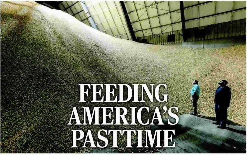 FEEDING AMERICA'S PASTTIME