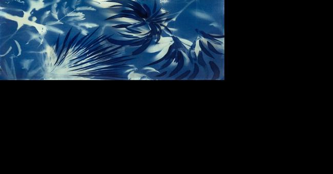 Chicago artist exhibiting nature-inspired works at Marshall Gardner Center for the Arts - Vimarsana News