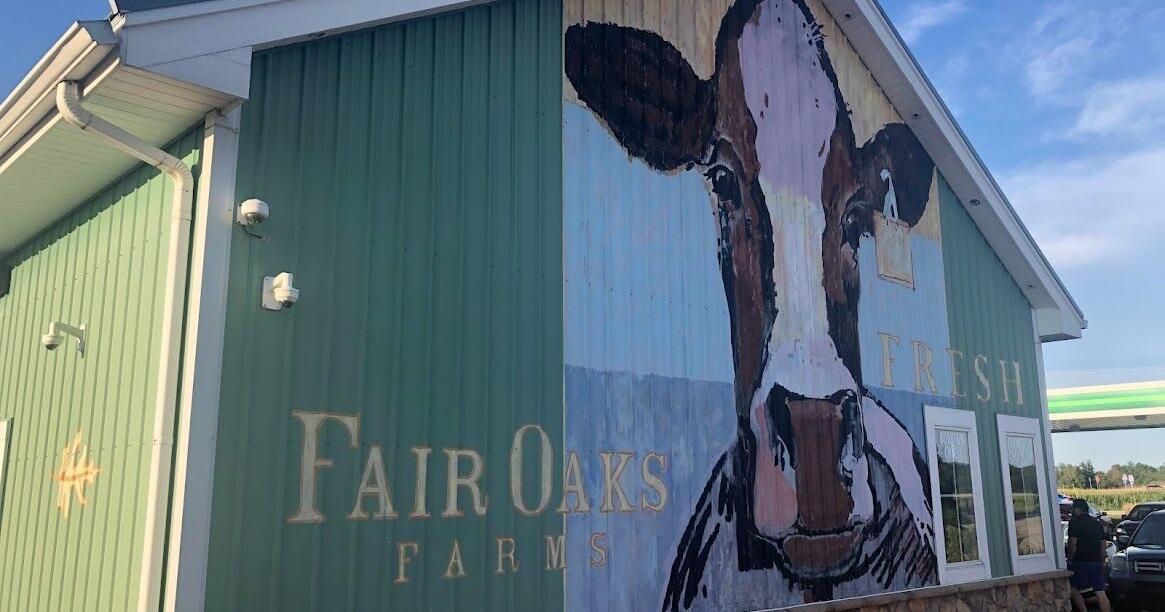 Fair Oaks Farms debuting new Say Cheese restaurant and Milkshed ice cream parlor