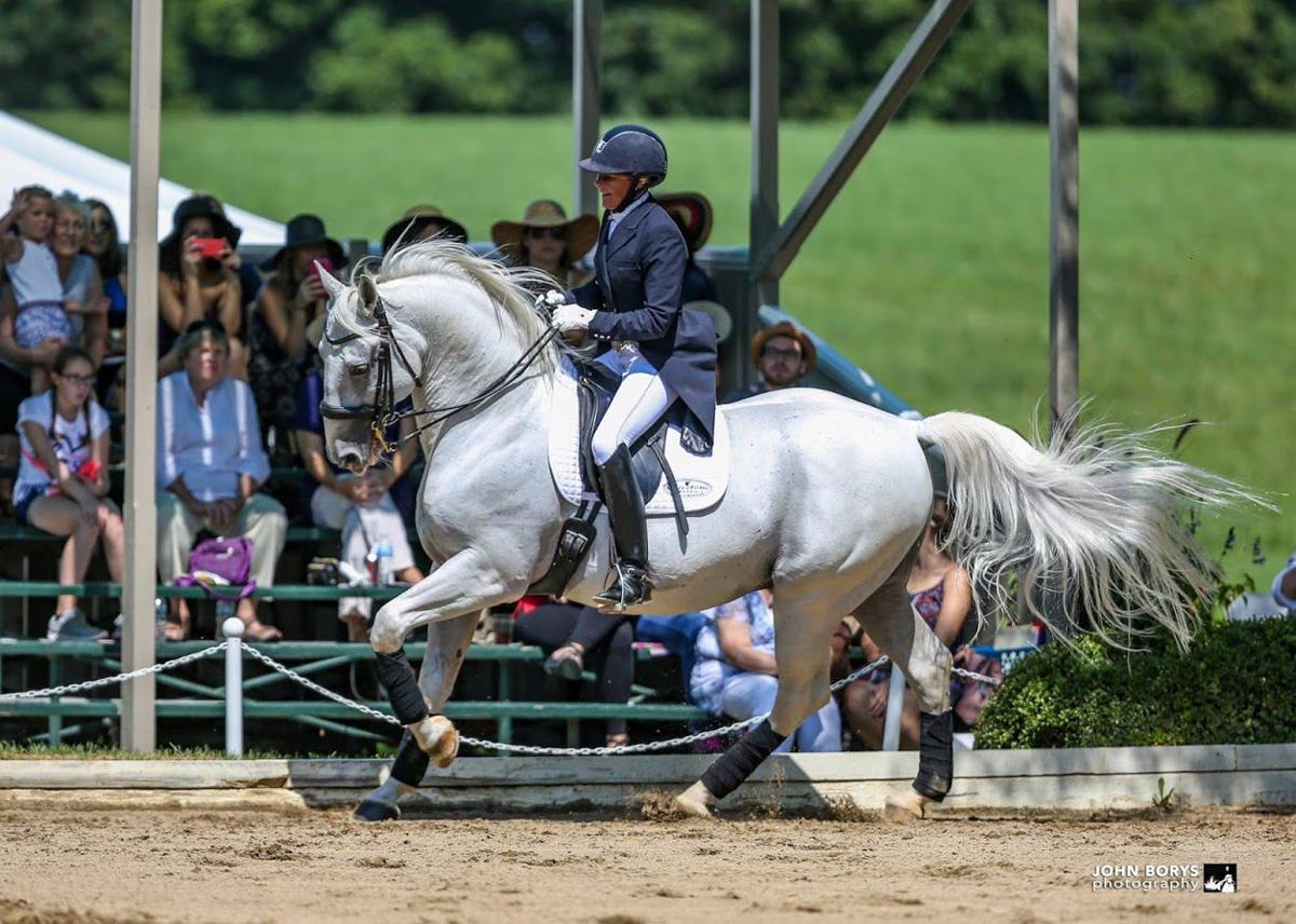 Lipizzans star in elegant 'ballet' at Tempel Farms Theatre