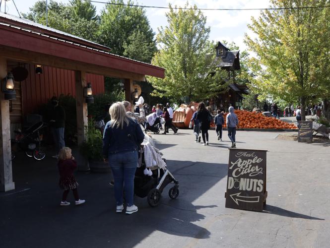 For more than 40 years, Bengtson's has harvested fall memories and fun in Homer Glen