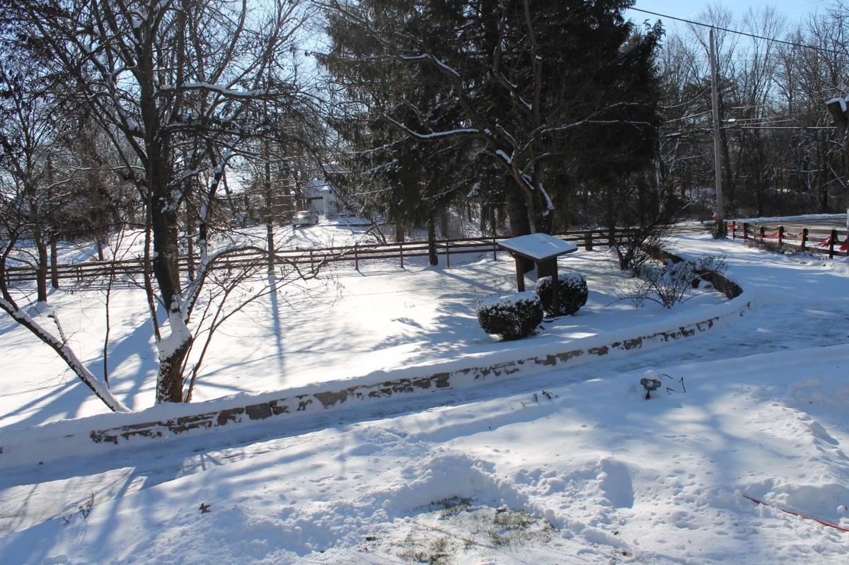 Snow 2018