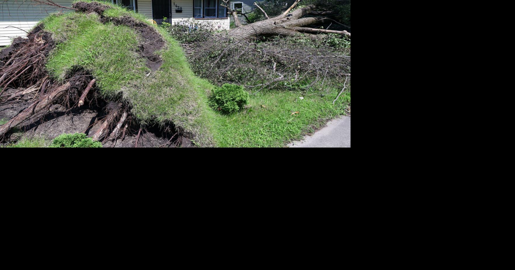 SNAP replacement deadline extended for Lake, Porter county storm victims