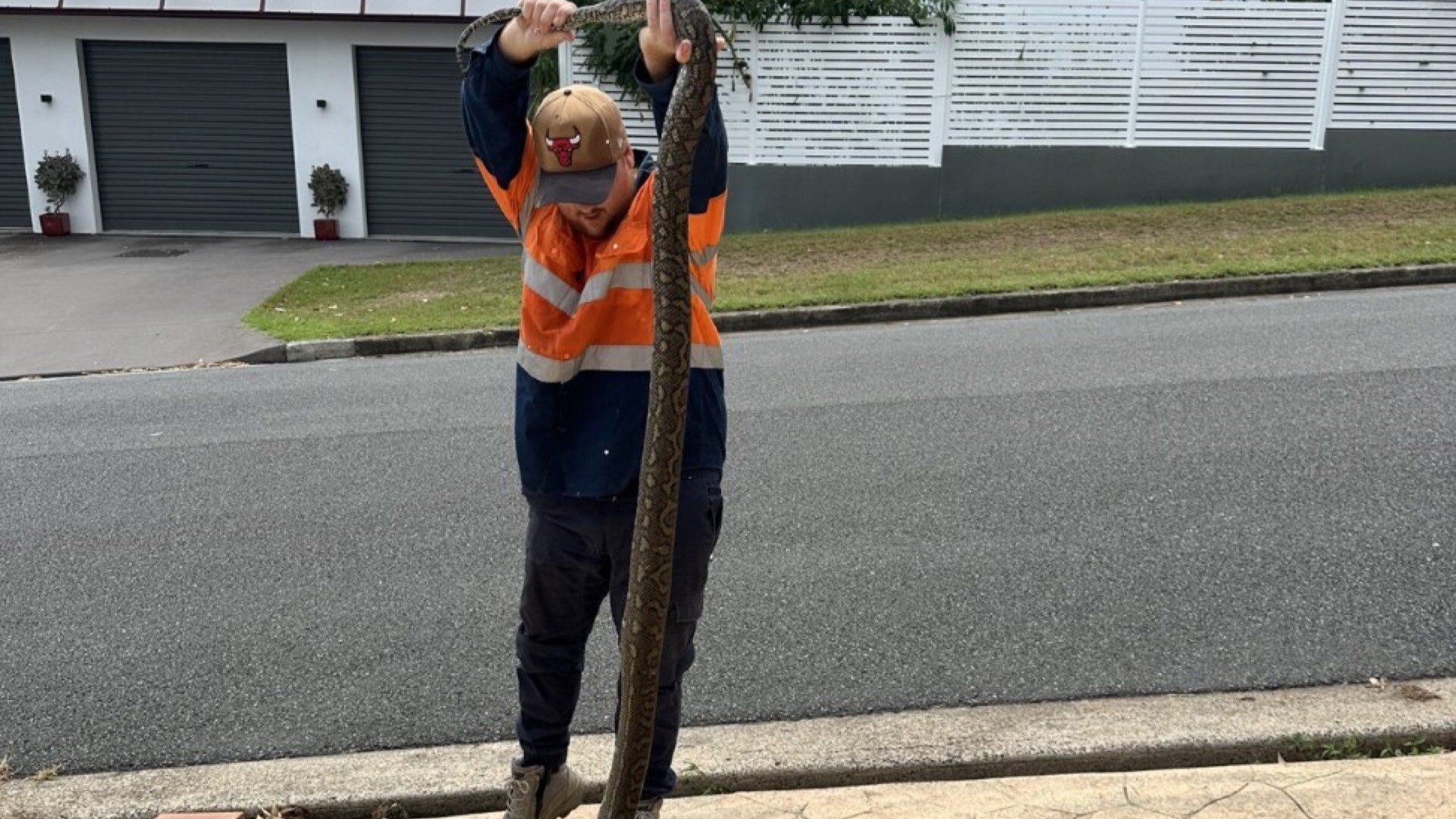 Discovery of 14 foot snake skin in attic leads to jaw-dropping find in Australia