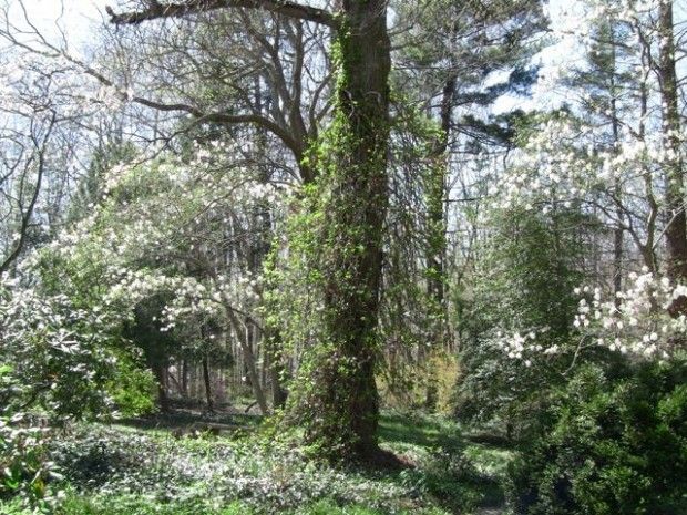 Nature abounds at doorstep to the dunes