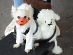 Orland Township's 10th Pet-Palooza
