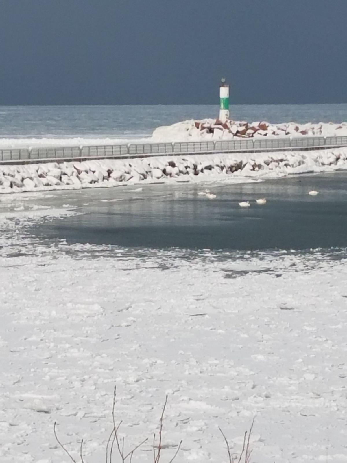 Snow 2018
