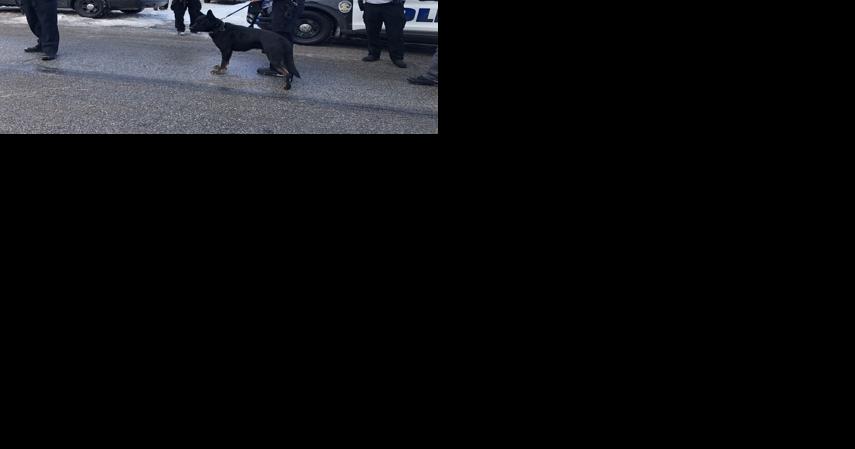 Police on hunt for person of interest after Gary officer shot; 1 suspect in custody - Vimarsana News