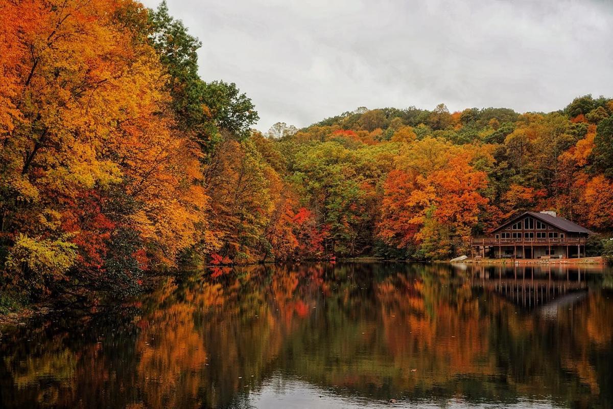 Lake LOretta Charles Alley Nature Park.jpg